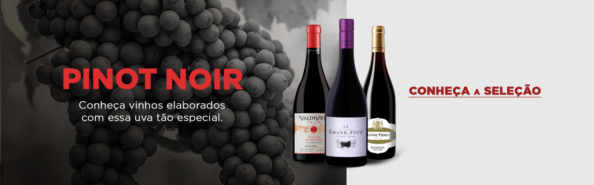 Pinot Noir